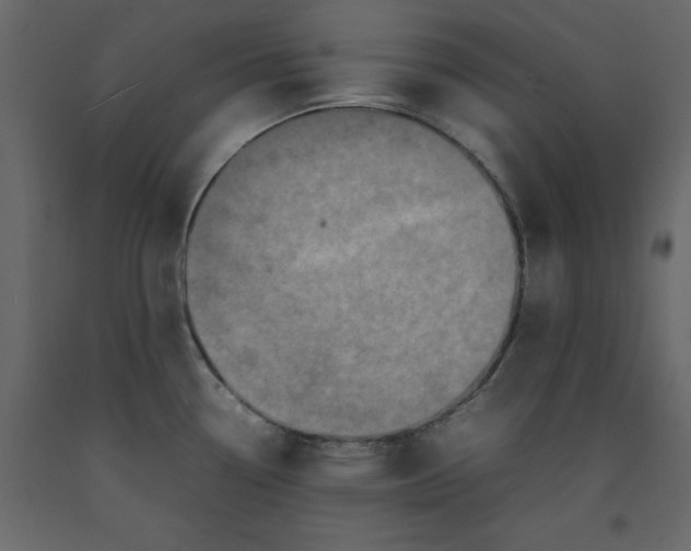 X0000092221338200710051150