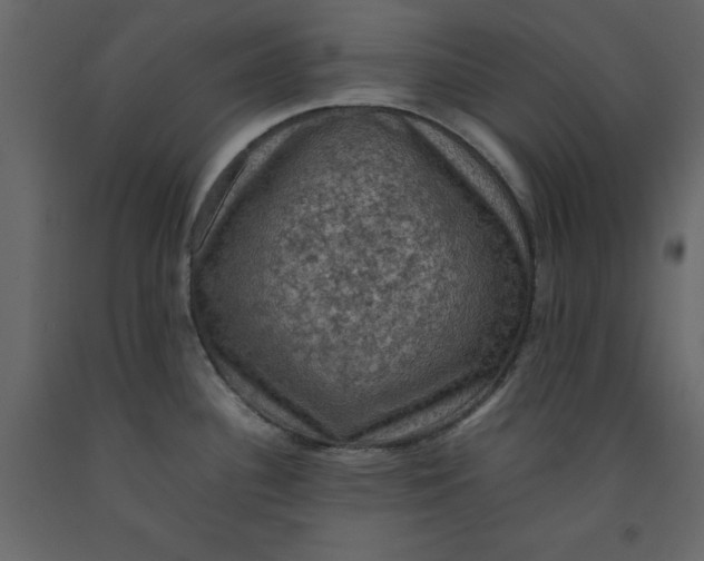 X0000092221340200710051150