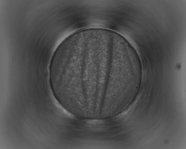 X0000092221341200710051150