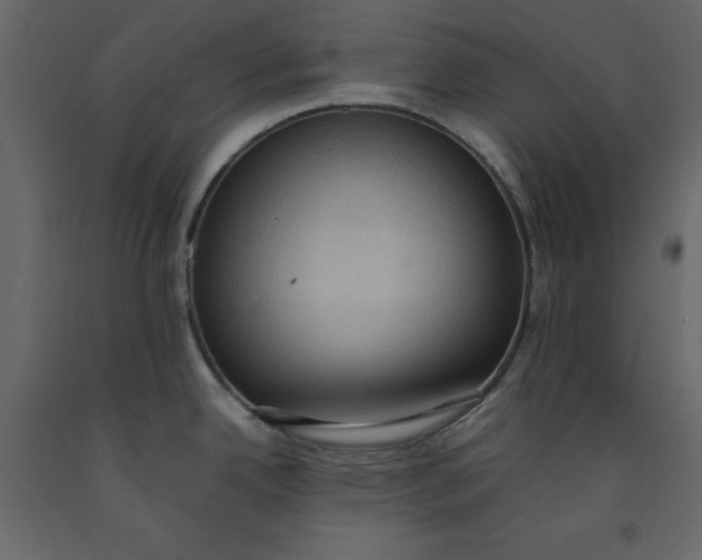 X0000092221342200710051150
