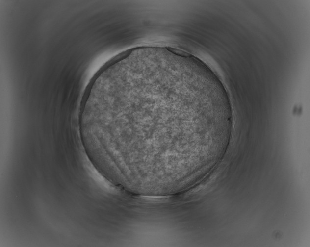 X0000092221344200710051150
