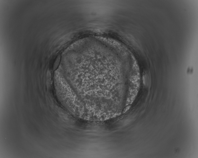 X0000092221347200710051150