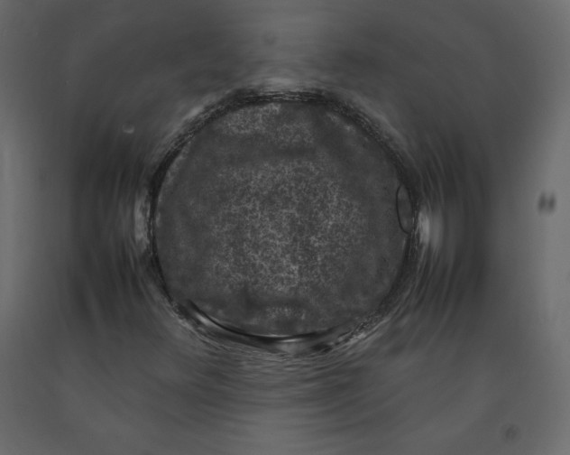 X0000092221348200710051150
