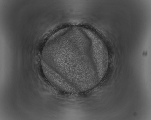 X0000092221349200710051149