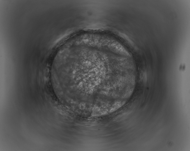 X0000092221350200710051149