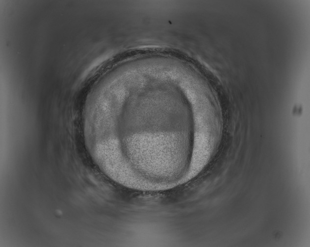 X0000092221351200710051149