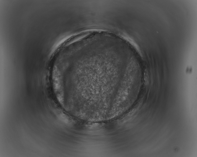 X0000092221352200710051149