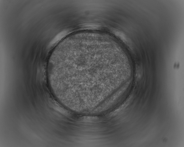 X0000092221354200710051149