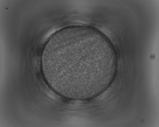 X0000092221355200710051149