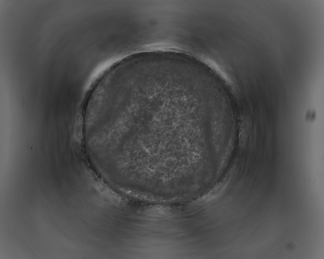 X0000092221358200710051149