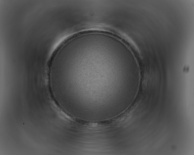 X0000092221360200710051149