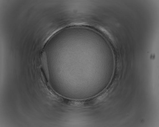 X0000092221361200710051149