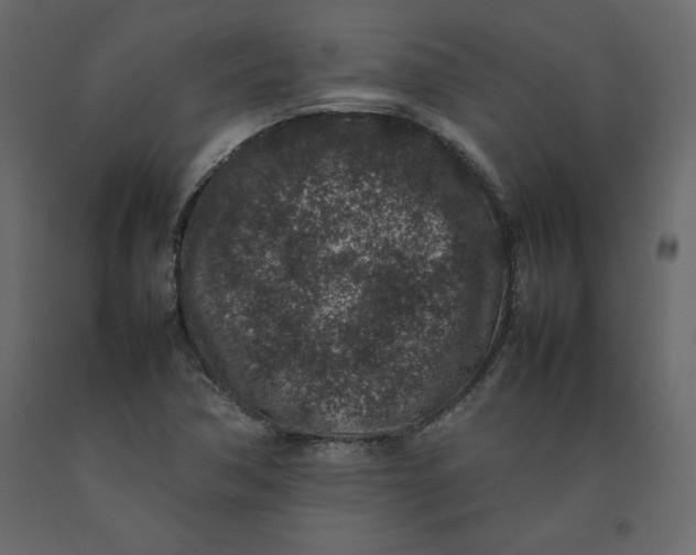X0000092221362200710051149