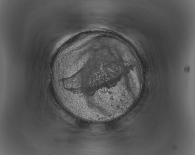 X0000092221363200710051149