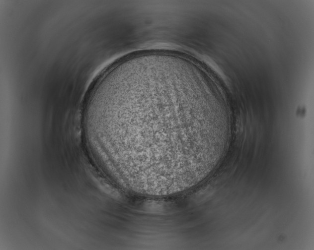 X0000092221364200710051149