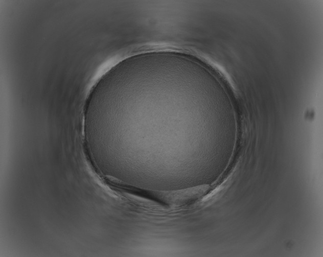 X0000092221365200710051149