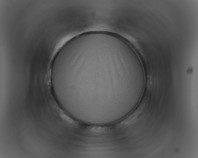 X0000092221366200710051149