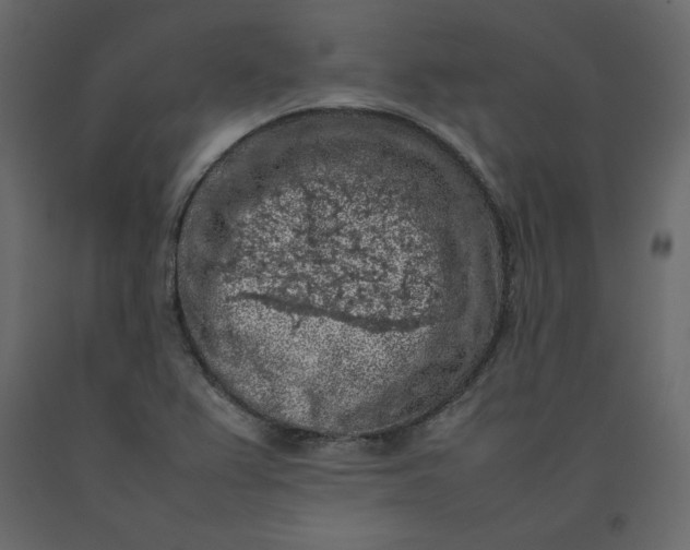 X0000092221367200710051149