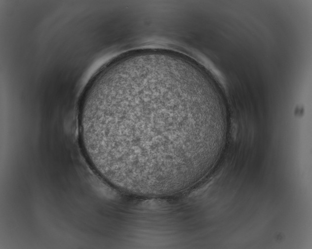 X0000092221368200710051149