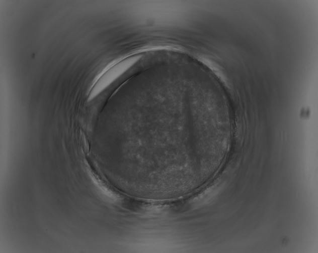 X0000092221369200710051149