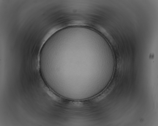 X0000092221370200710051149