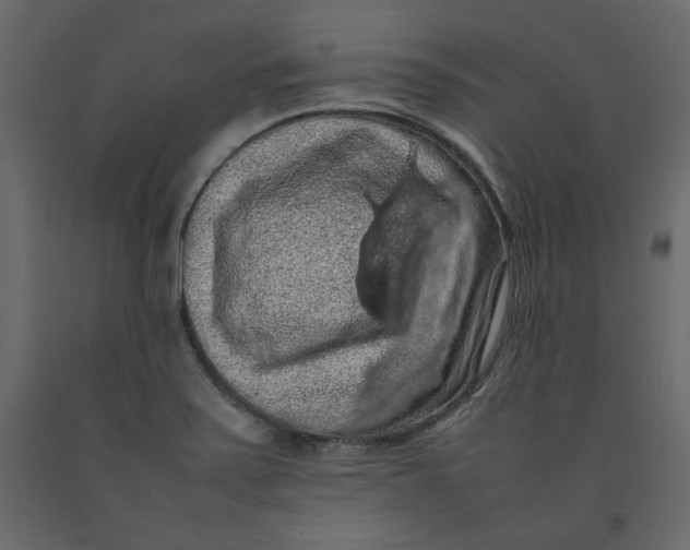 X0000092221371200710051149