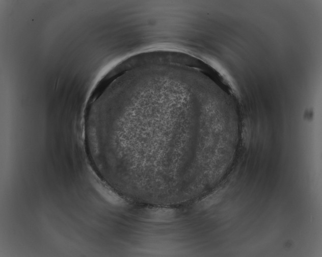 X0000092221372200710051149
