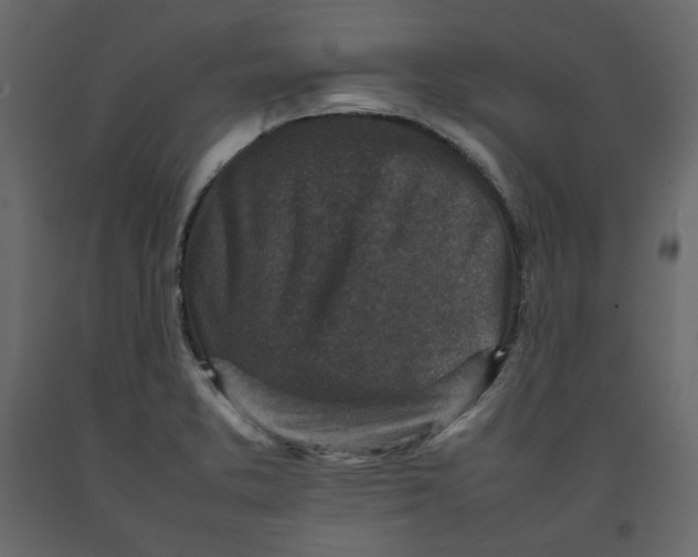 X0000092221373200710051149