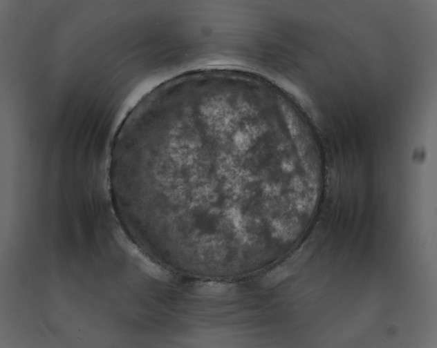 X0000092221374200710051149