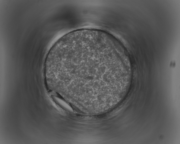 X0000092221375200710051149