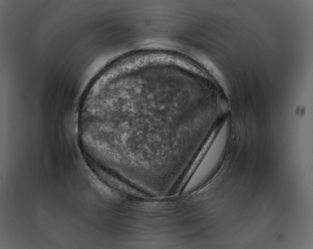 X0000092221376200710051149