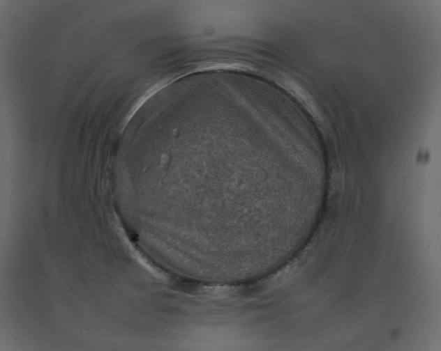 X0000092221377200710051149