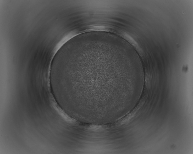 X0000092221378200710051149