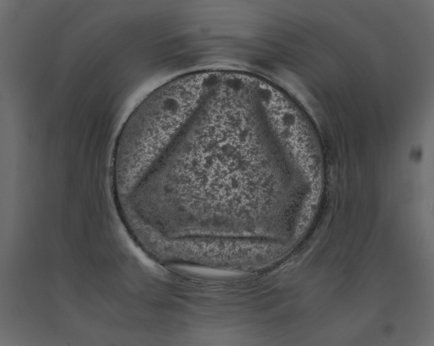 X0000092221379200710051149