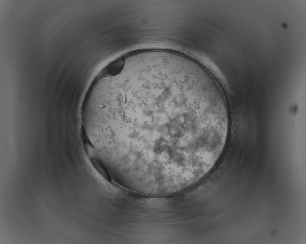 X0000092221380200710051149