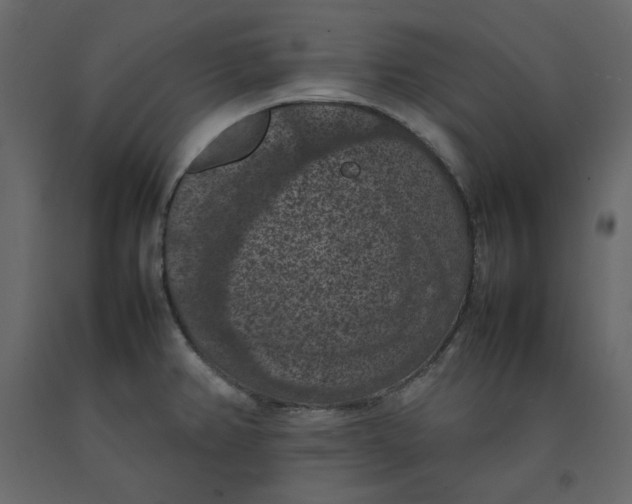 X0000092221382200710051149