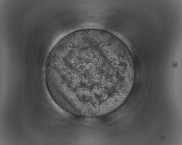 X0000092221383200710051149