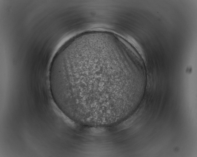 X0000092221384200710051149