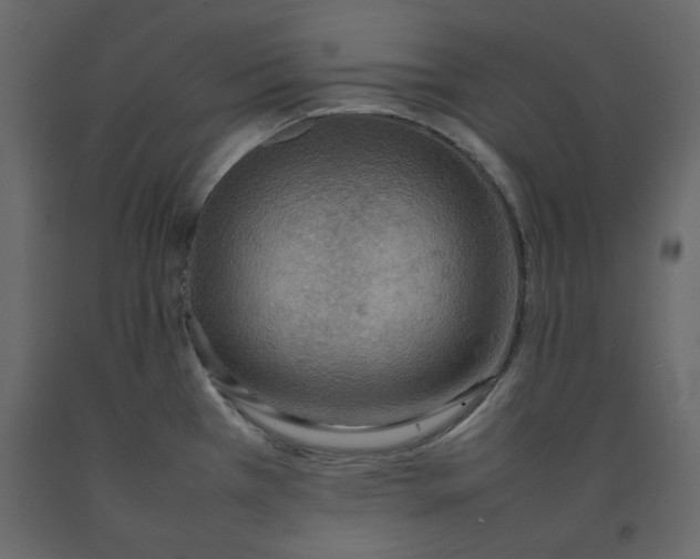 X0000092221385200710051149