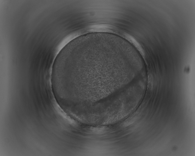 X0000092221386200710051149