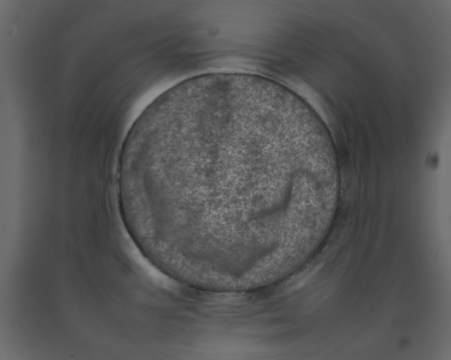 X0000092221387200710051149