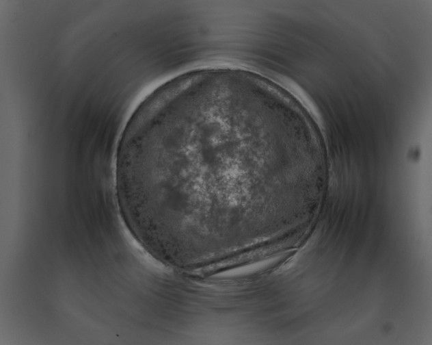 X0000092221388200710051149