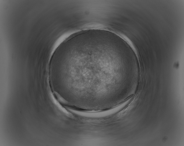 X0000092221389200710051149