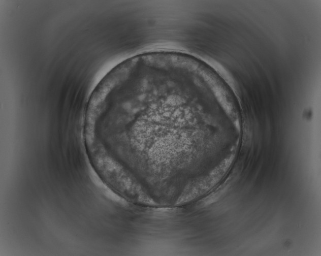 X0000092221390200710051149