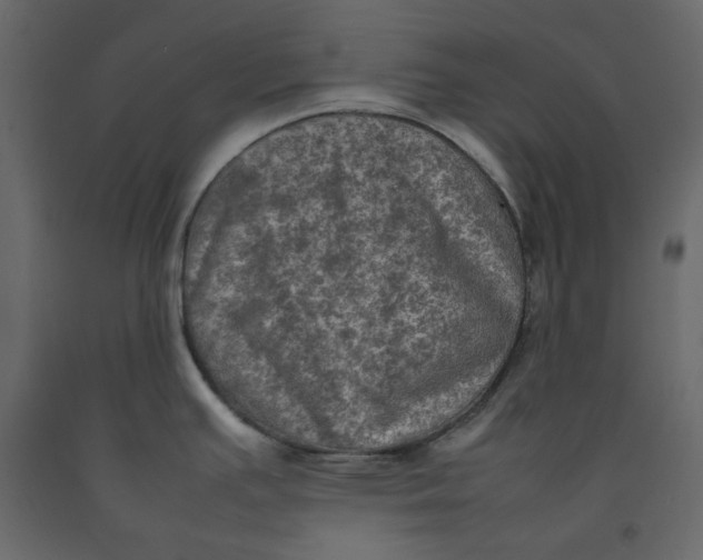 X0000092221391200710051149