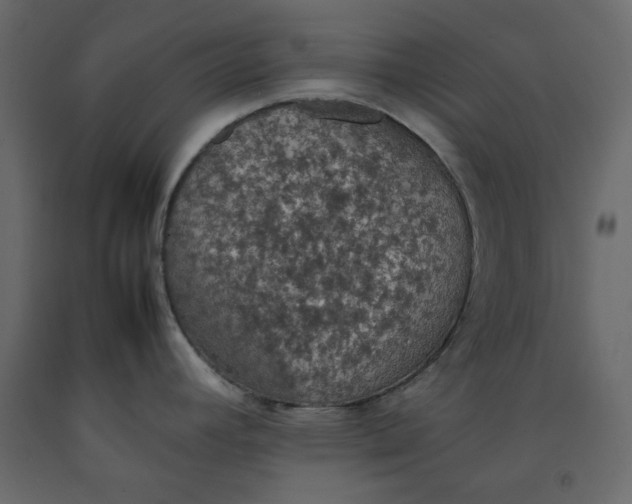 X0000092221392200710051149