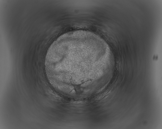 X0000092221393200710051148