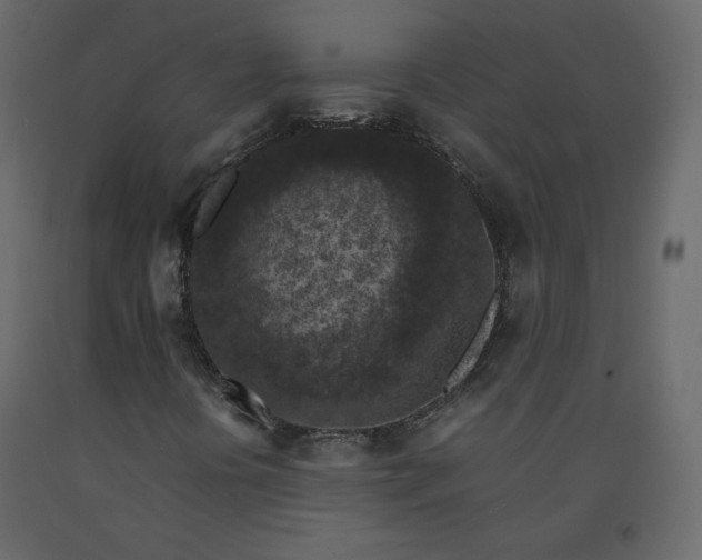 X0000092221394200710051148