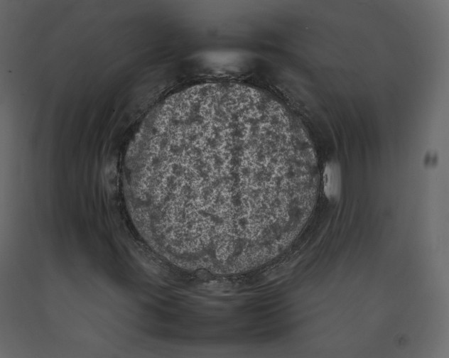X0000092221395200710051148