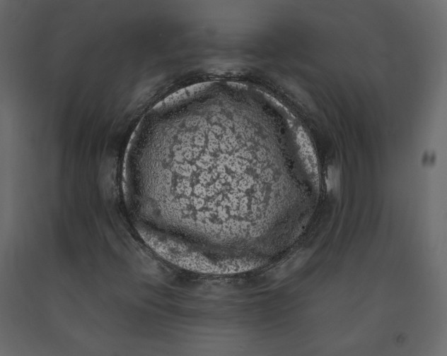 X0000092221396200710051148